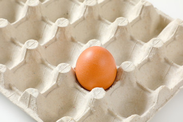 One brown egg in carton