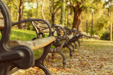 Nature, Landscape, Nature landscape, nature park, park, leaf, tree, pine tree, spring, autumn, green field,