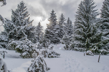 Sommet du Hilsenfirst, Vosges