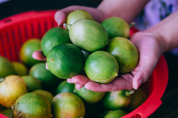 Close-Up Of Hand Holding Green Lime