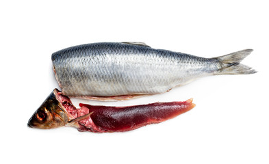 Fresh herring fish with caviar isolated on white