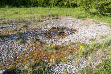 Artificial habitat for European Green Toad (Bufotes viridis) in the Riemer Park near Munich, Germany