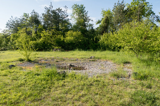Artificial habitat for European Green Toad (Bufotes viridis) in the Riemer Park near Munich, Germany