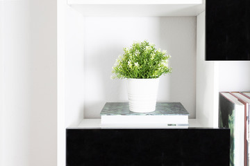 Close up of White black bookshelf with decorative plant and book. Modern interor design concept