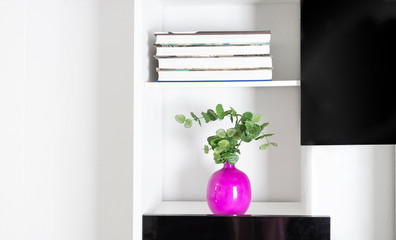 Close up of White black bookshelf with lilac vase with  Eucalyptus plant and book. Modern interor design concept