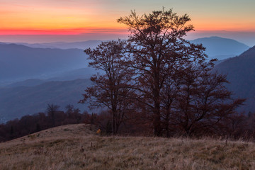 Fine evening in the autumn Carpathians. The tree silhouette with naked branches stands out against a beautiful decline clearly. Mountain landscape with juicy shades of blue, yellow and orange colors. 