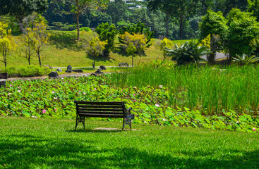 A bench at Japanese garden in Singapore
