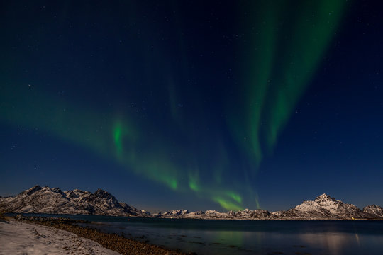 amazing polar lights, Aurora borealis over the mountains in the North of Europe - Lofoten islands, Norway © Tatiana
