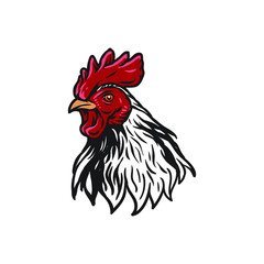 chicken rooster poultry animal vector