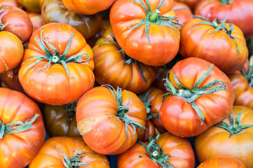 Conjunto de tomates de ensalada ecológicos.