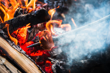 Campfire relax around fire place with friends concept background. Half eaten frankfurter sausage or knockwursts grilling on wooden rod held by summer adventurer above red hot charcoal and fire flames