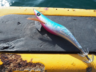 色鮮やかなエギ