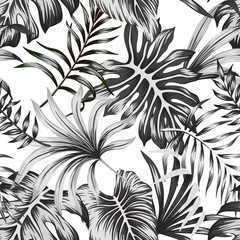 Tropische schwarze und weiße Palmblätter nahtlose Muster weißen Hintergrund. Exotische Dschungeltapete.
