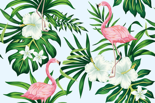 Tropical white hibiscus plumeria floral green leaves seamless pattern pink flamingo blue background. Exotic jungle wallpaper.