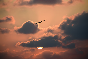 sky with clouds
