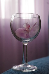 wineglass with flower