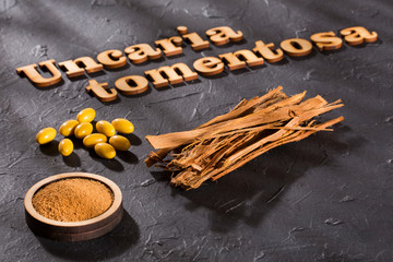 Uncaria tomentosa - Medicinal plant of the Peruvian jungle