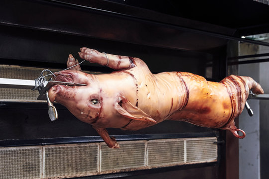 Cochinillo ensartado asado en horno de fuego girando.
