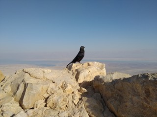 Masada, December 23th 2019 - Judean Desert from Masada - Masada National Park, Dead Sea Region, Israel