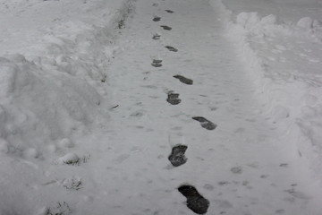 Dark snow prints