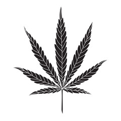 Hemp Leaf Vector Drawing isolated on White Background