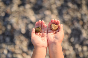 sea stones in wet children's hands. space for text