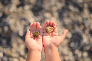 sea stones in wet children's hands. space for text