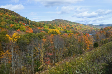 Catskills Autumn View