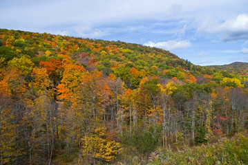 Autumn Hillside