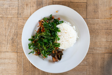 Century Egg Basil top view.