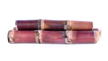 sugarcane isolated on white background