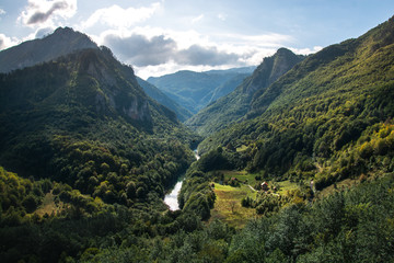 Tara river gorge in Durmitor National park, Montenegro - obrazy, fototapety, plakaty