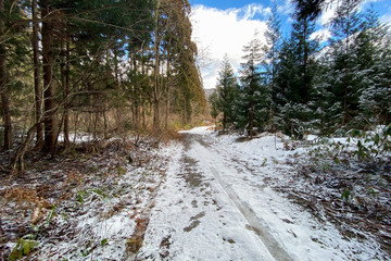 冬の森林　道路　雪景色