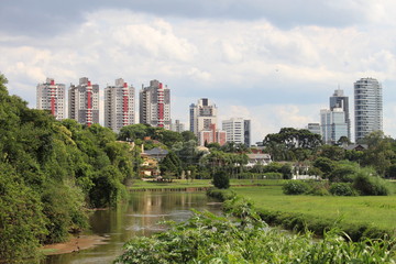 Obraz premium Verde no Parque Barigui, Curitiba, PR