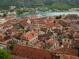 Fototapeta na wymiar view of Kotor old town area from the path to Castle Of San Giovanni