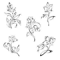 flowers 58. SET. stylized flower on a stalk with leaves in black lines on a white background. SET