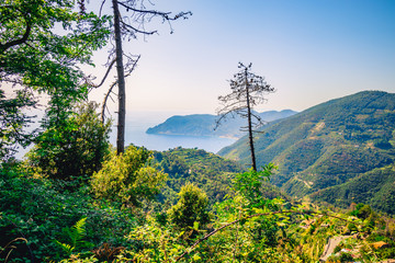 sea view from the hill italy panorama