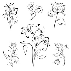 flowers 60. SET. stylized flower on a stalk with leaves in black lines on a white background. SET