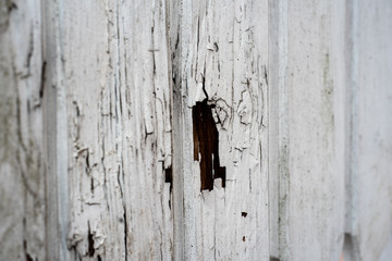 Old rugged worn wood texture