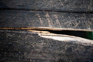 Old rugged worn wood texture