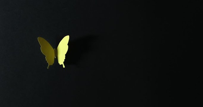 Stop motion motion of paper butterflies on a dark background.