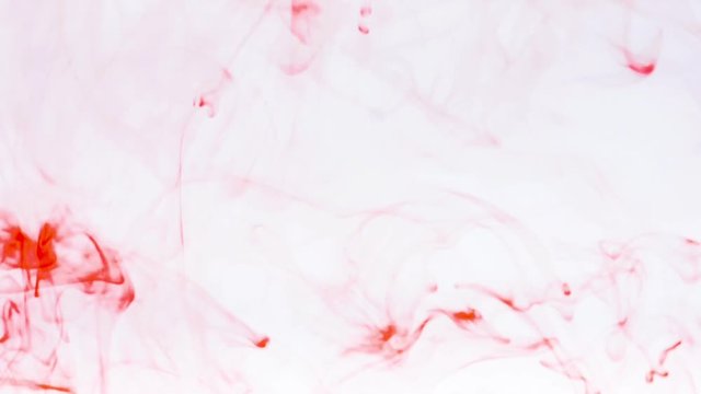 Background water soluble ink .abstract red watercolor soluble in water . Backdrop with copy