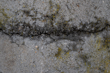 Cracked mossy worn cement beton texture