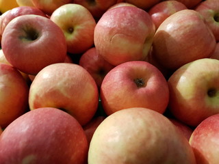 pile of red apples