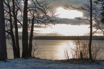 Sun rays fall on the surface of the water