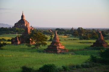 Fototapeta premium Pagode Bagan, Myanmar