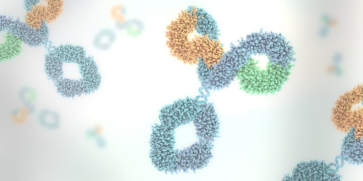Multicolored anitibody or immunoglobulin - 3d illustration