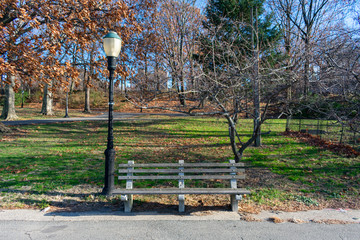 Empty Bench at Riverside Park on the Upper West Side of New York City during Autumn