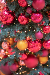 Fototapeta na wymiar Weihnachtsbaum mit Christbaumkugeln an Weihnachten