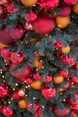 Fototapeta na wymiar Weihnachtsbaum mit Christbaumkugeln an Weihnachten